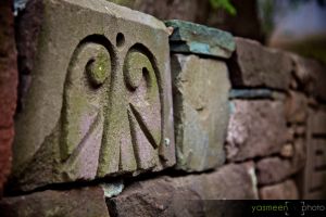 _MG_2602_backyard.jpg